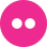 Flickr icon
